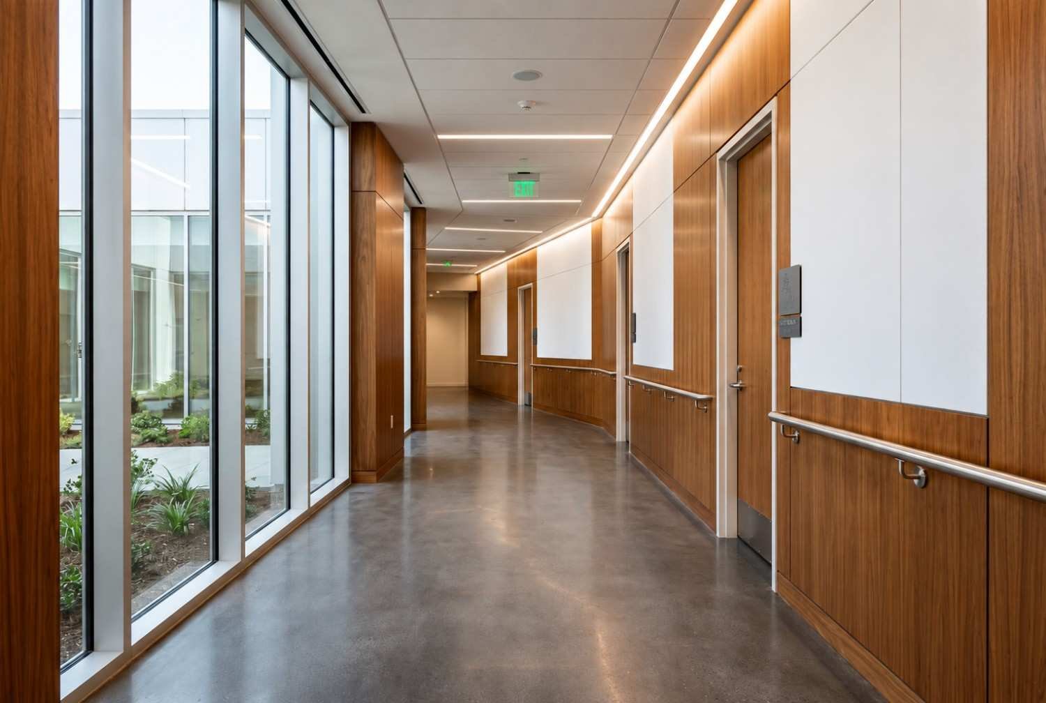 Modern commercial hallway with wood wall panels, glass windows, ADA handrails, and contemporary interior finishes.